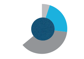 Employees and sales partners – CEE (pie chart)