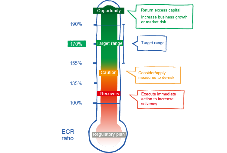 Risk strategy (graphic)